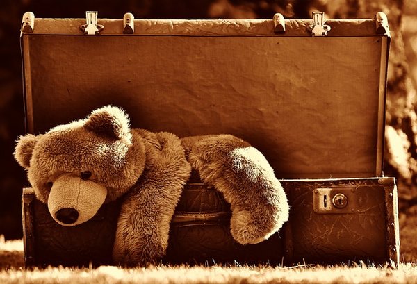 Quelle peluche acheter à son enfant pour Noël ?