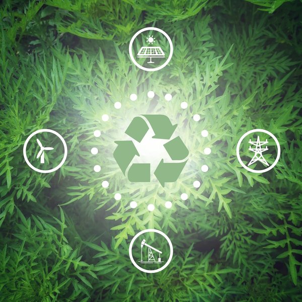 Quels sont les principaux piliers du développement durable ?